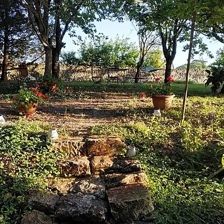 Bed & Breakfast Le Clos Des Fayes Berthegon