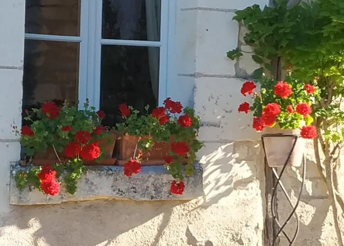 Le Clos Des Fayes Couette-café